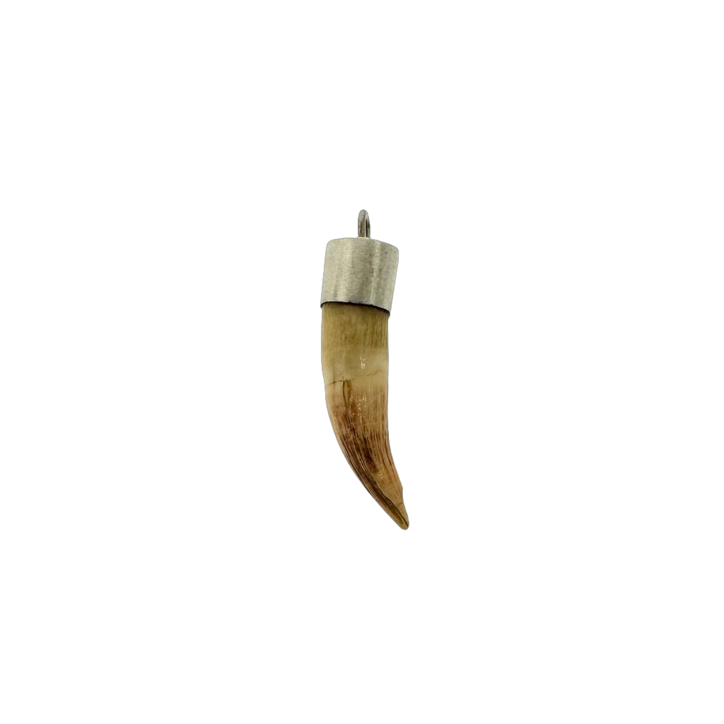 Estate Sterling + Animal Tooth Amulet