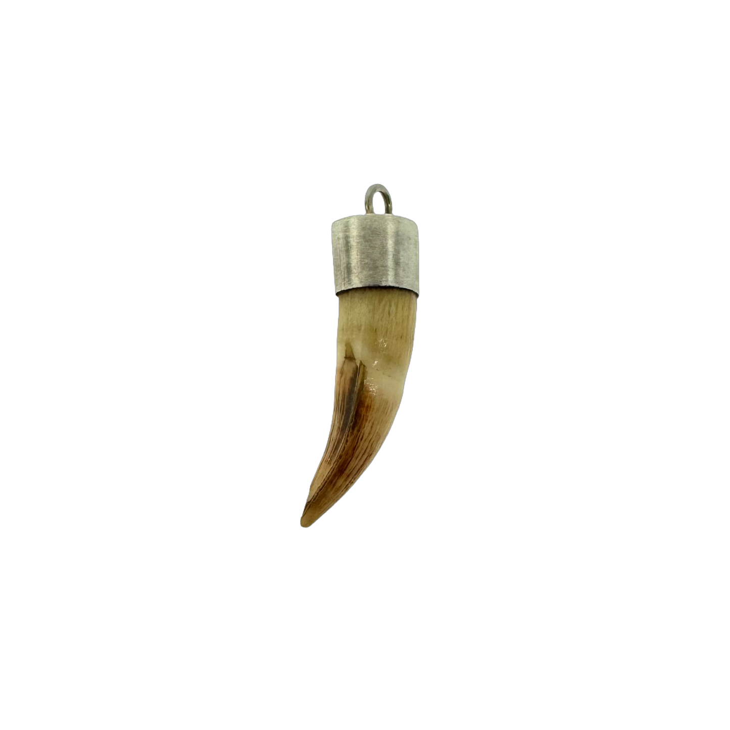 Estate Sterling + Animal Tooth Amulet