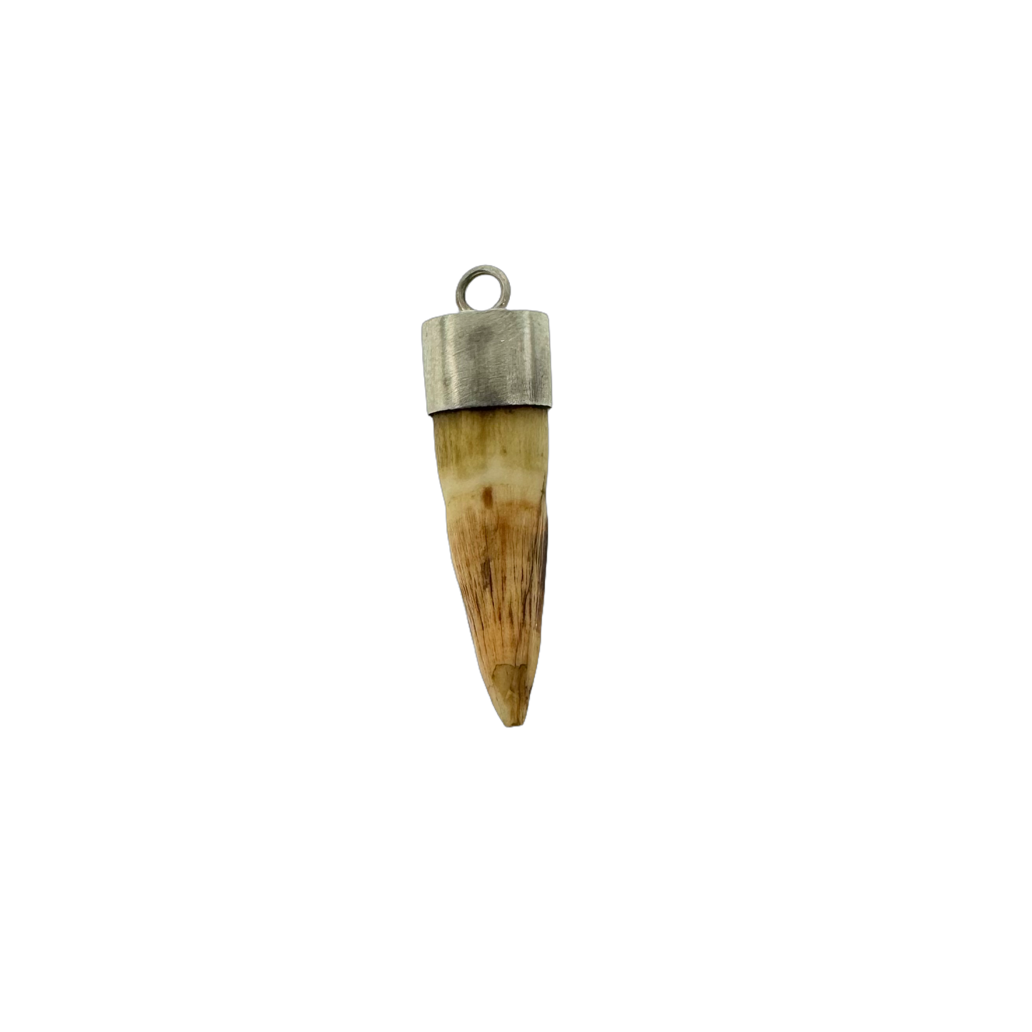 Estate Sterling + Animal Tooth Amulet