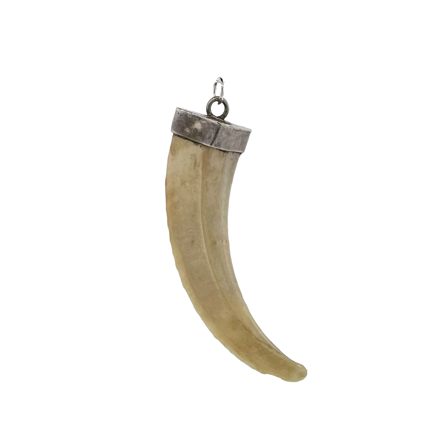 Vintage Sterling Silver + Boar's Tusk Pendant