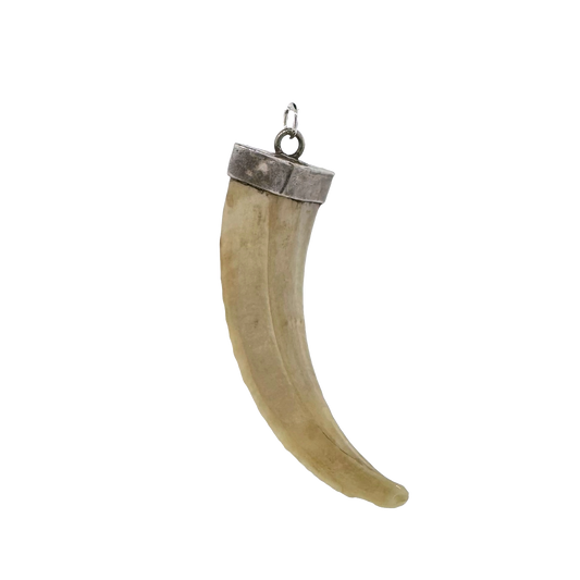 Vintage Sterling Silver + Boar's Tusk Pendant