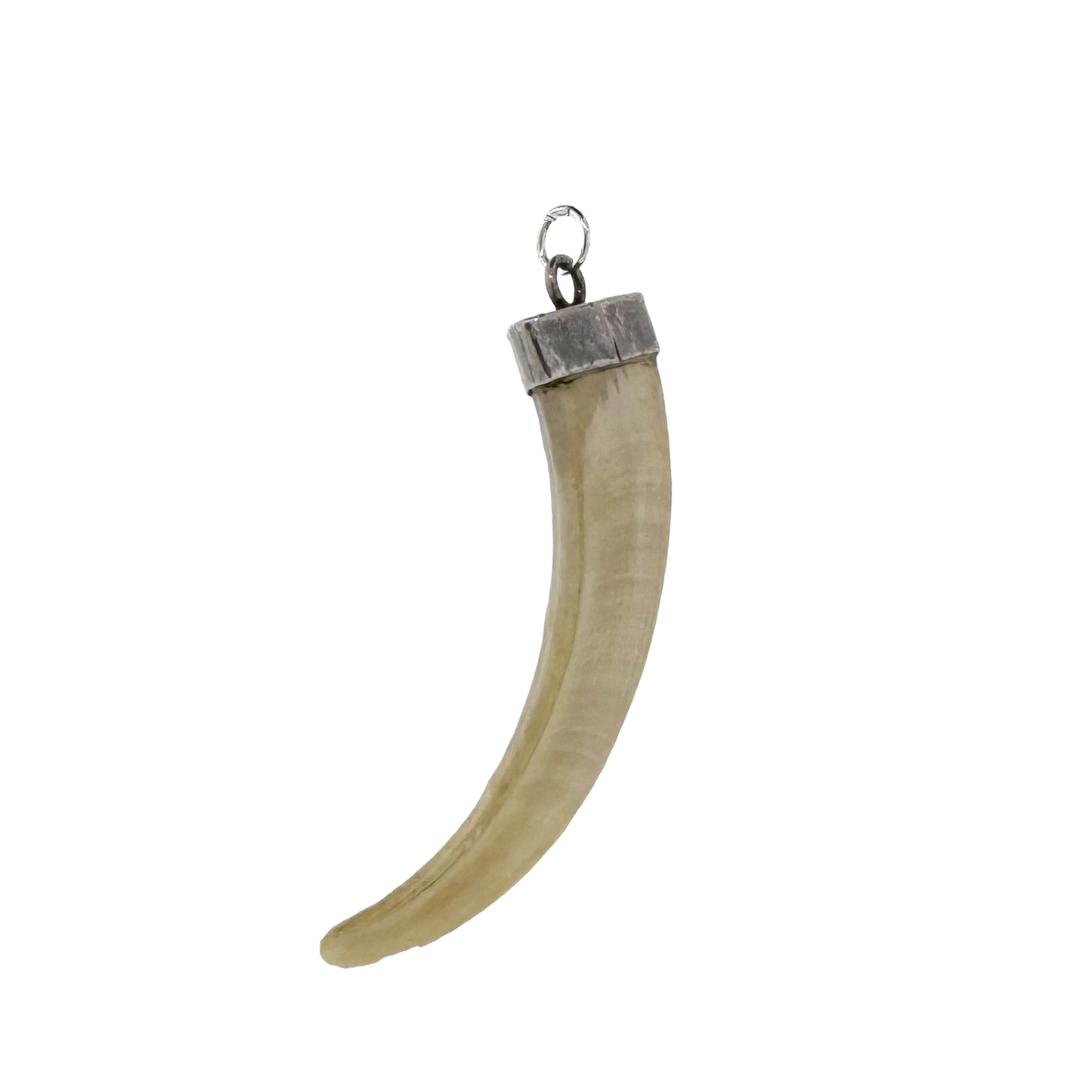 Vintage Sterling Silver + Boar's Tusk Pendant