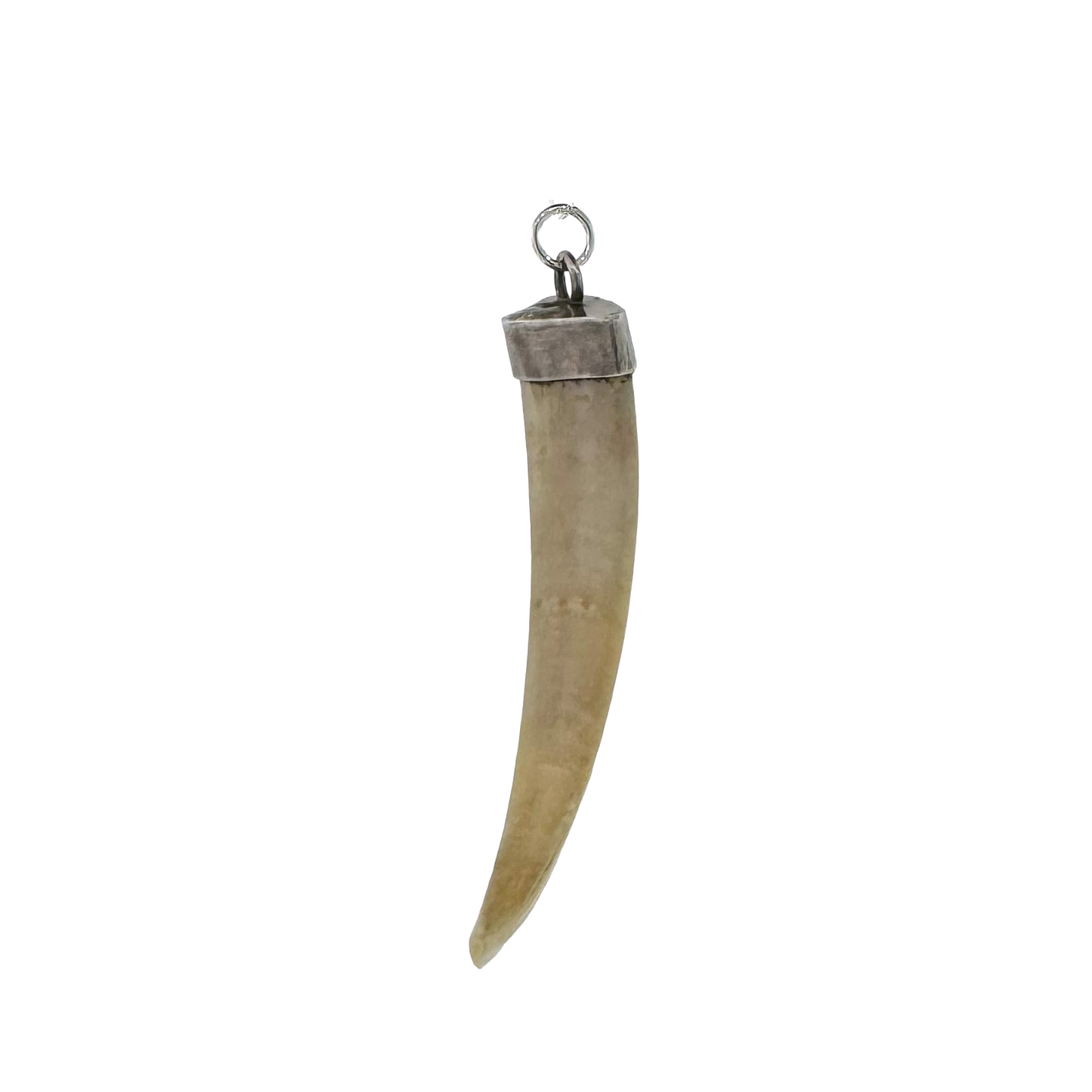 Vintage Sterling Silver + Boar's Tusk Pendant